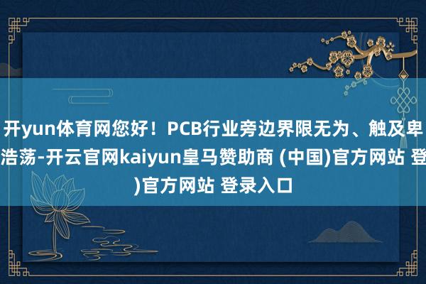 开yun体育网您好！PCB行业旁边界限无为、触及卑鄙产物浩荡-开云官网kaiyun皇马赞助商 (中国)官方网站 登录入口
