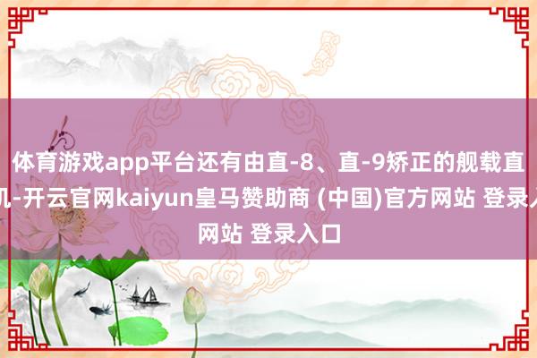 体育游戏app平台还有由直-8、直-9矫正的舰载直升机-开云官网kaiyun皇马赞助商 (中国)官方网站 登录入口